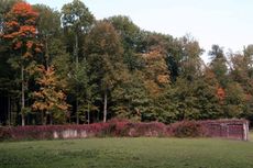 B-Herbststimmung 026.jpg